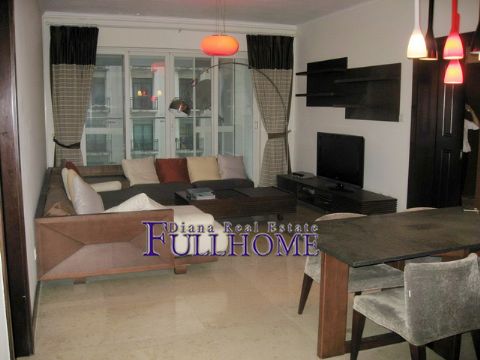 Central Park - 2 bedroom apartment in Shanghai, People Square, Downtown
